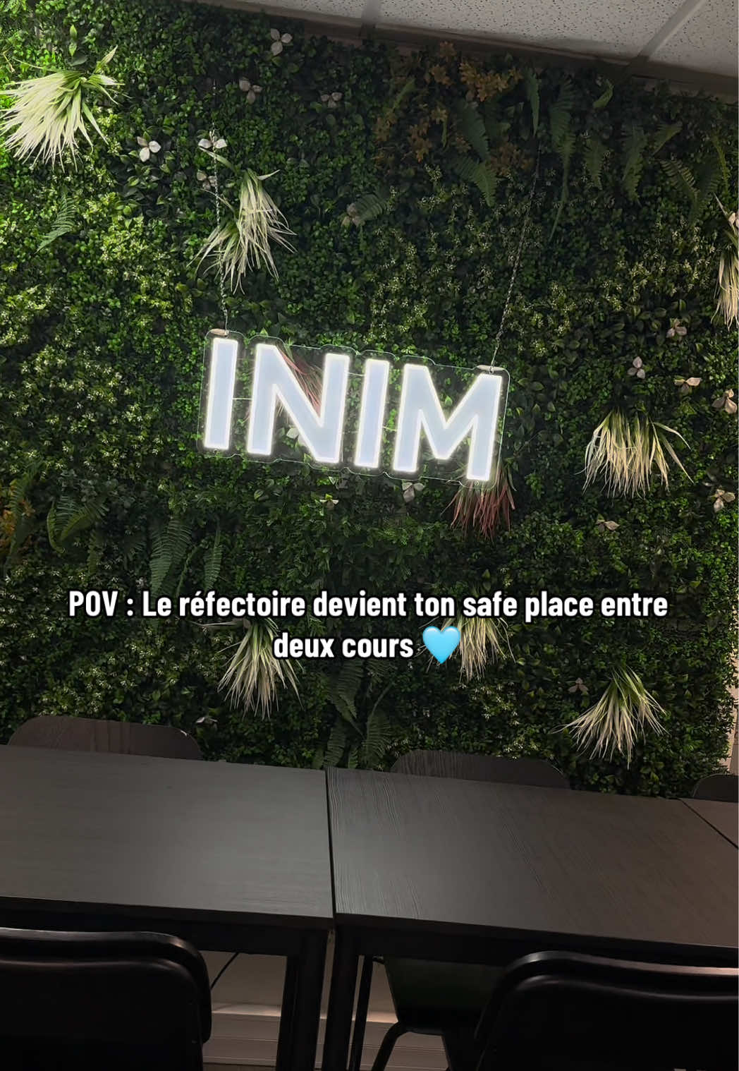 @INIM 🎓🩵