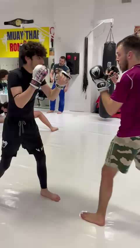 @MMA Transilvania Cluj-Napoca