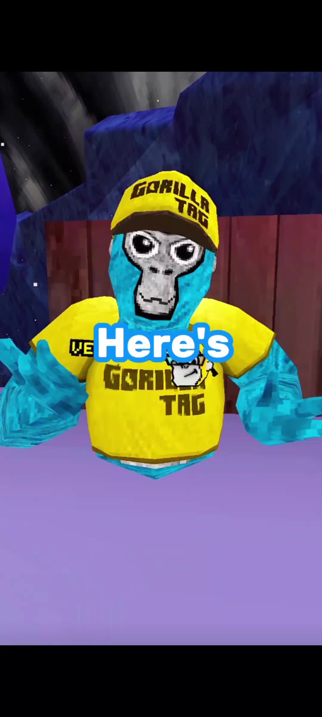 @VelixVR [1k]