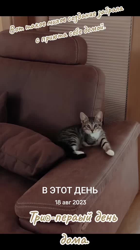 @Марина🤍🕊