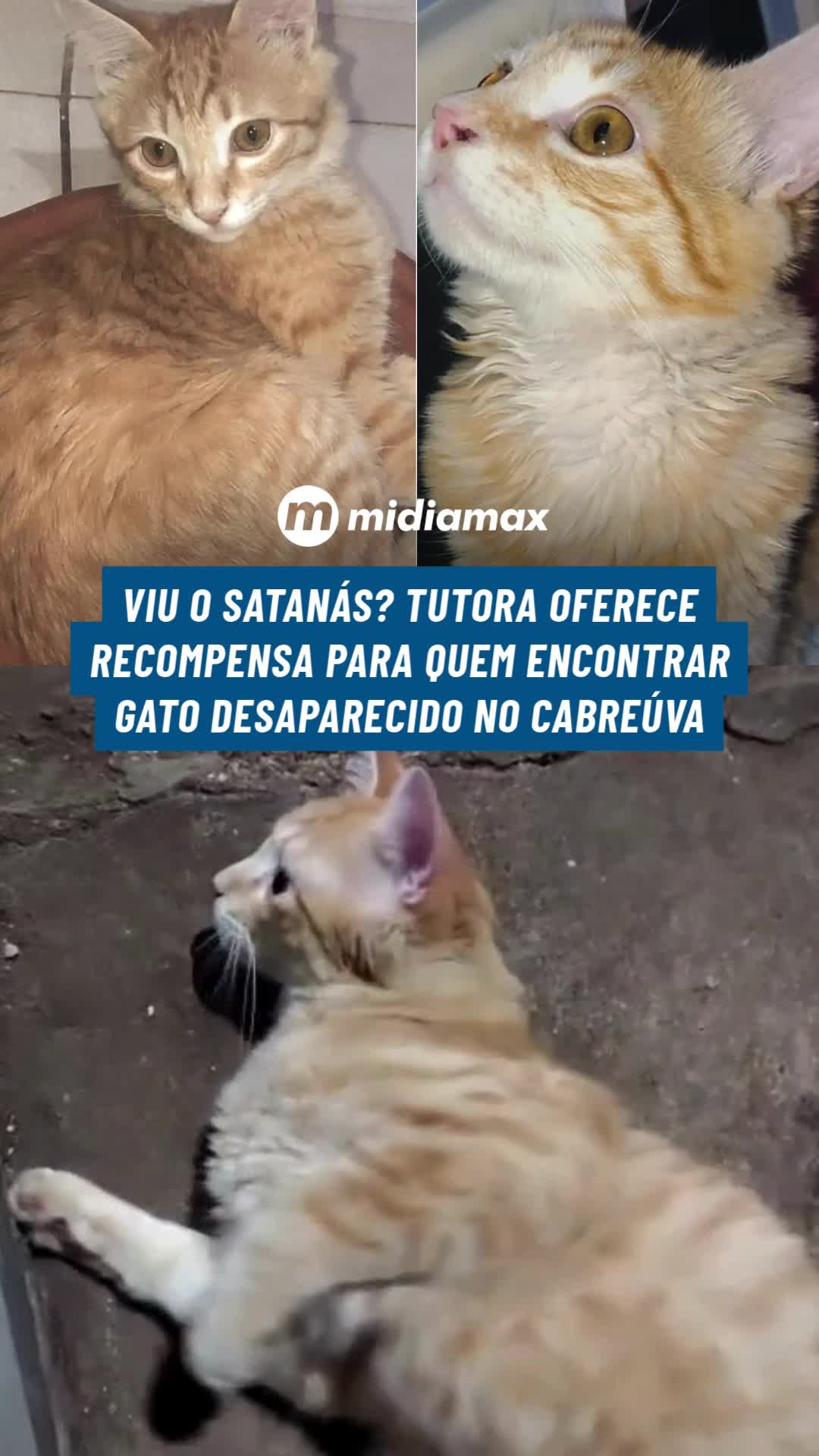 @Jornal Midiamax