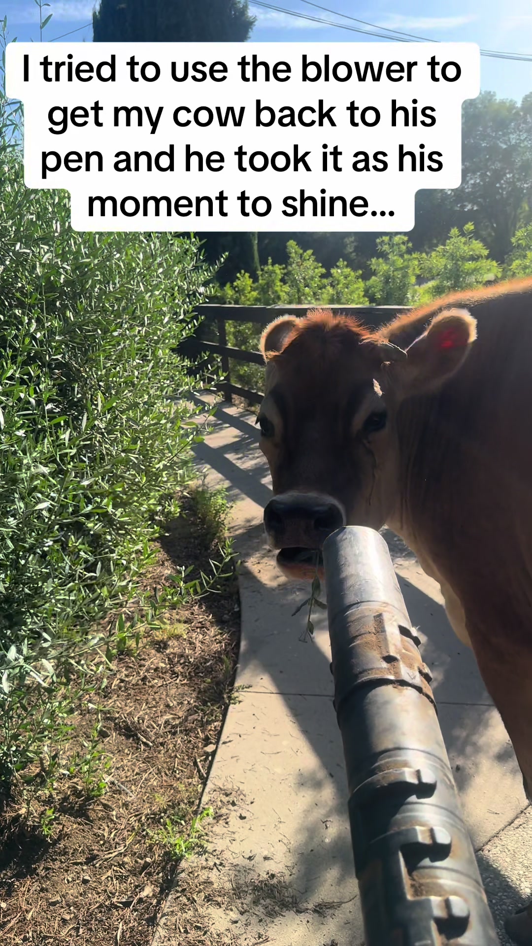 @staseasranch