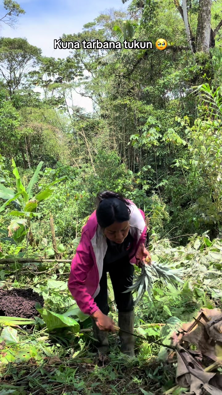 @orientanachontacurita