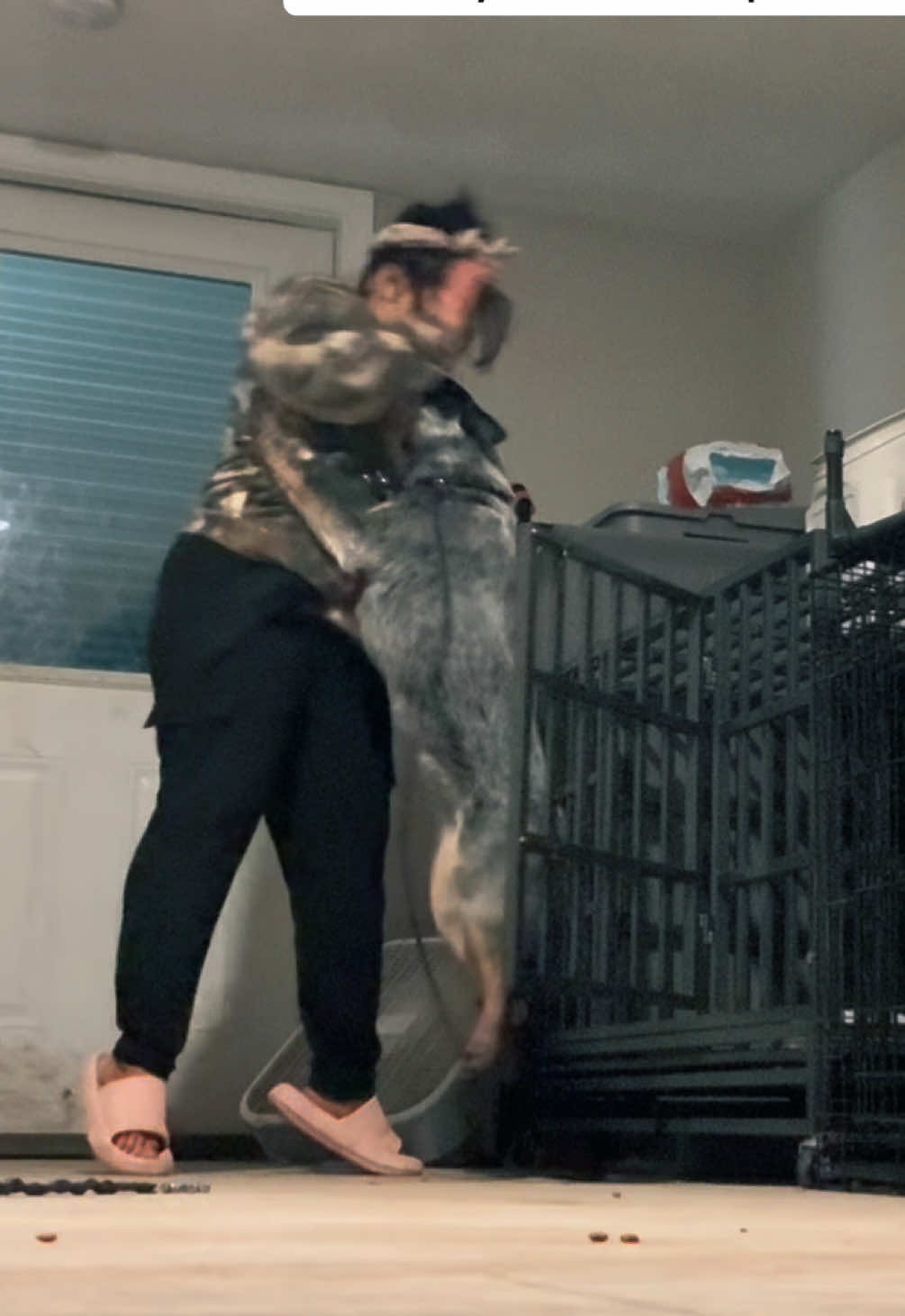 @Kiley - dog trainer
