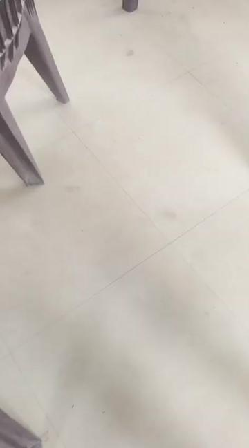 @dashrat0548