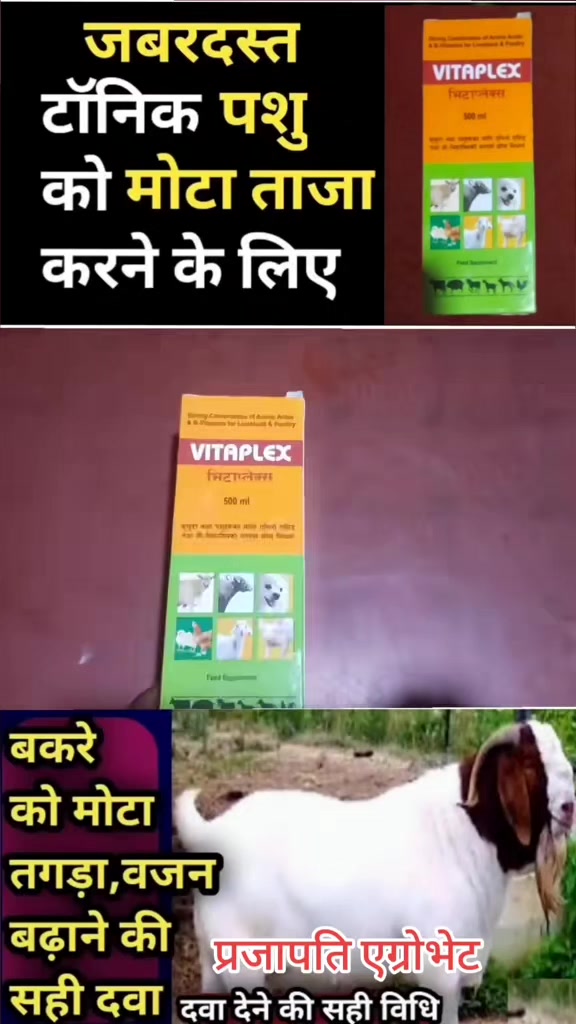 @Prajapati Agro Vet