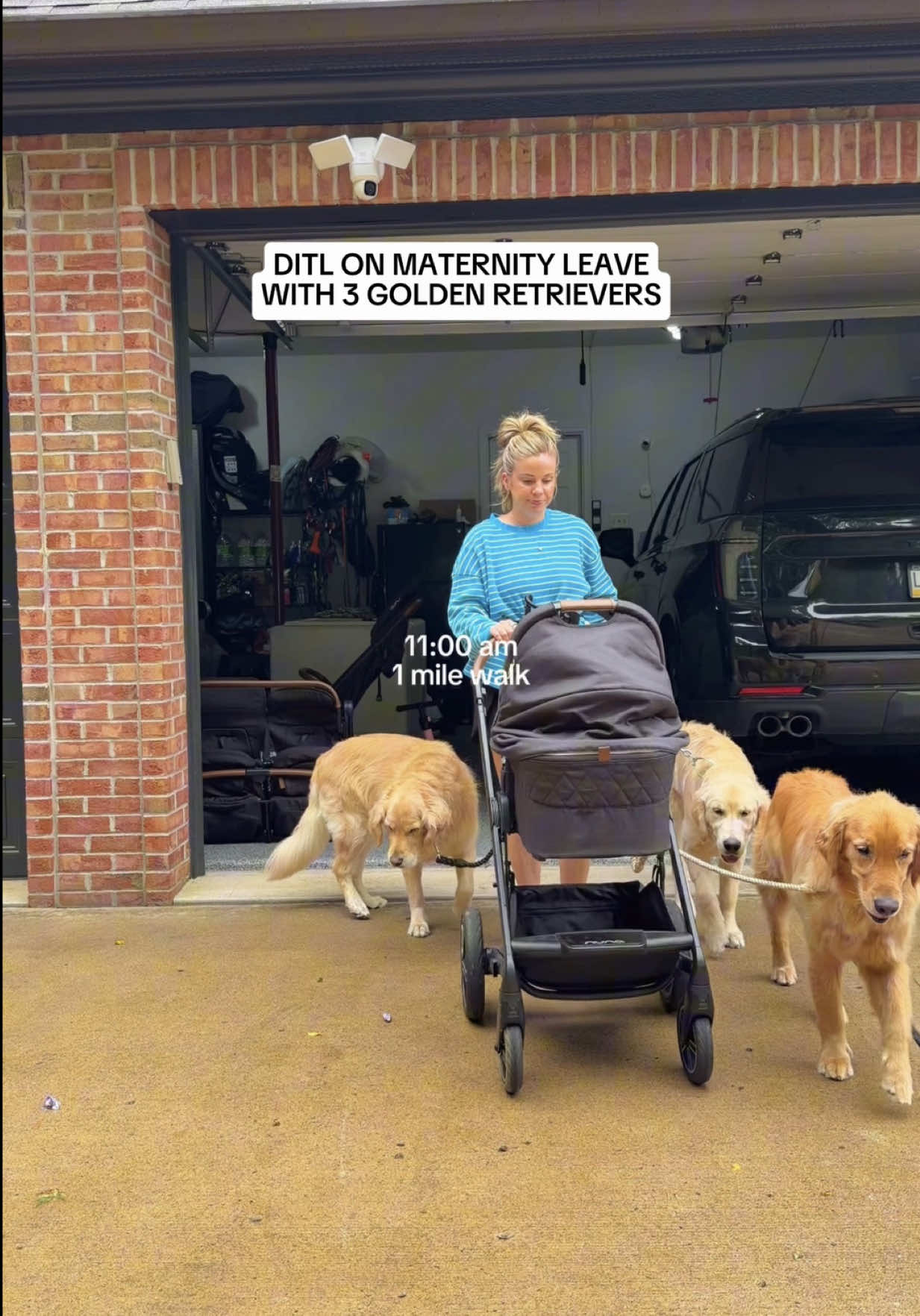 @agoldendogmom
