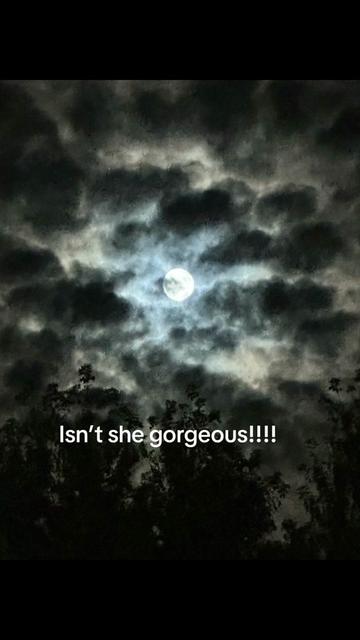 @themeanderingnurse