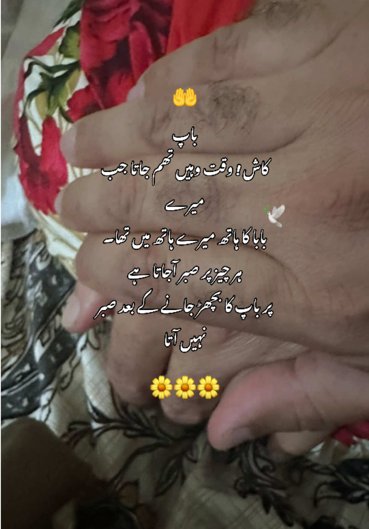 @Noor