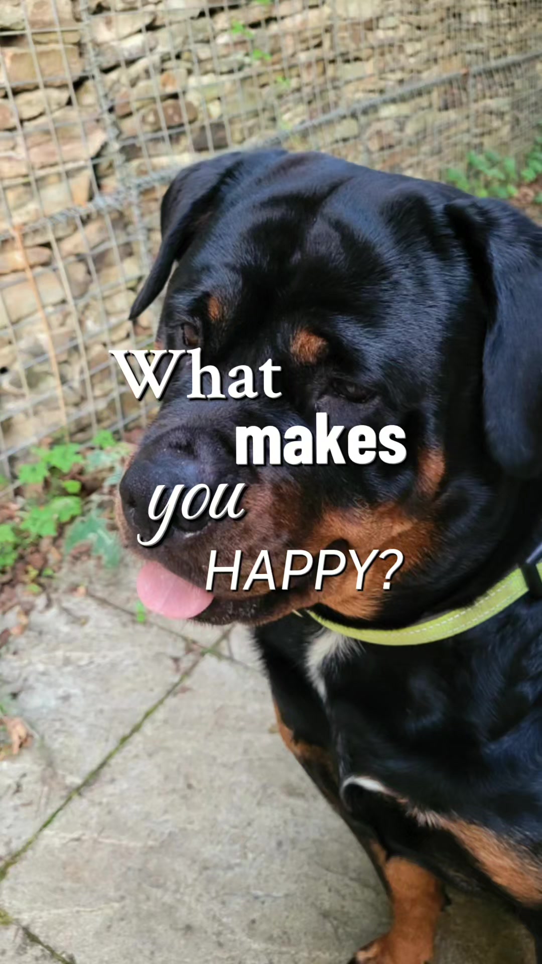 @Beaswalksntalks