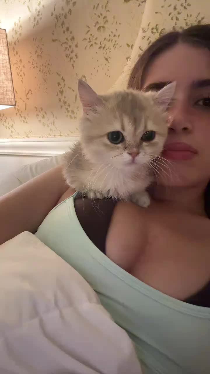 @ema_bb01234