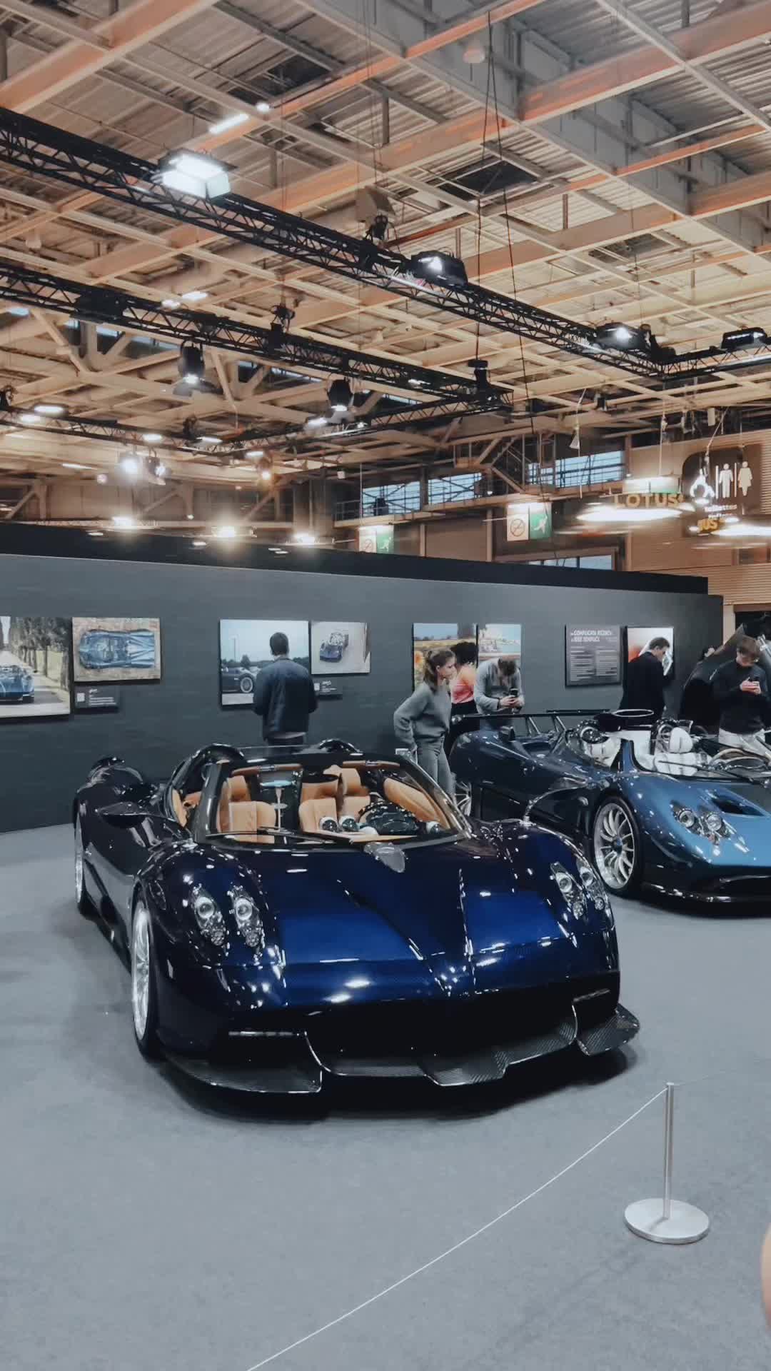 @Shiroo