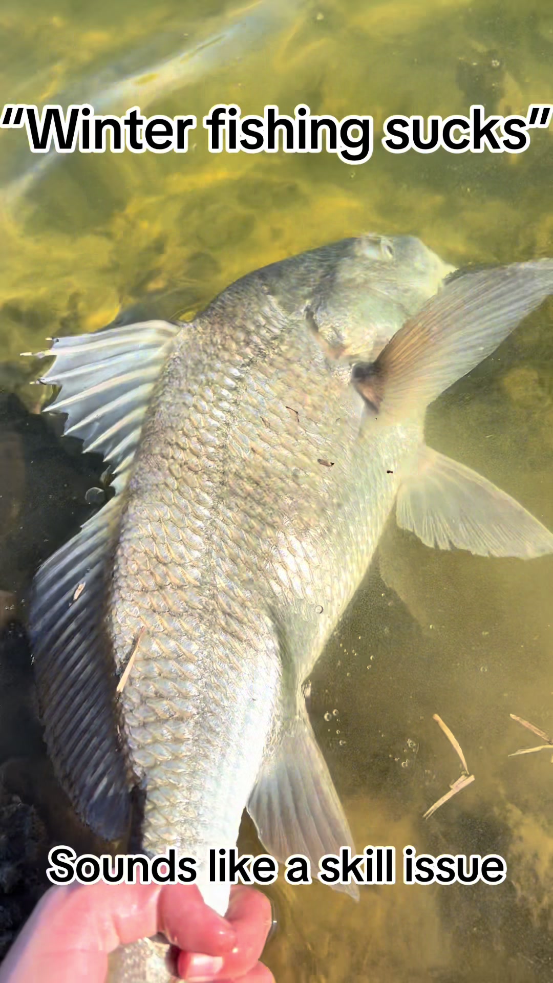 @WHKfishing