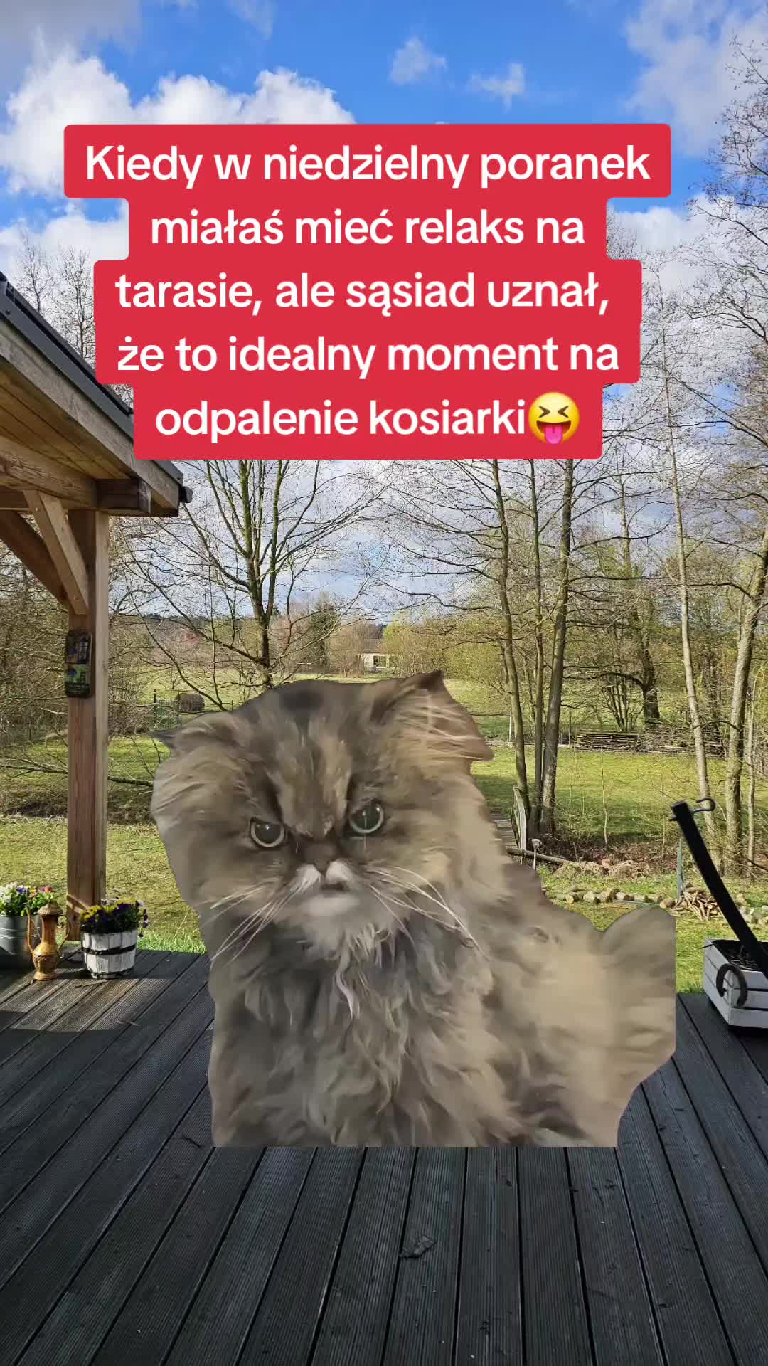 @joana_joana