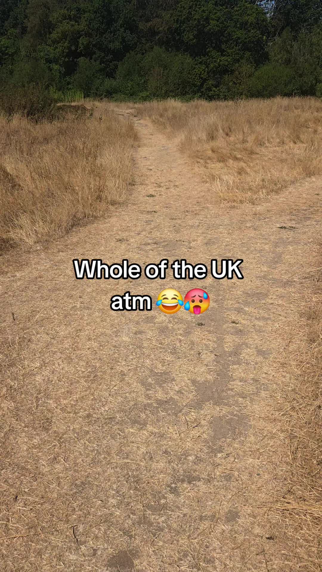 @stephenjam35