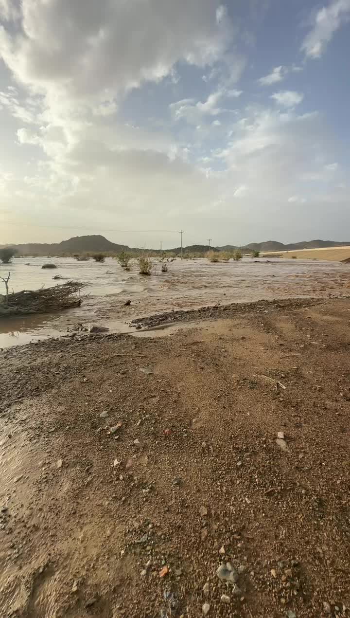 @تركي بن حصين