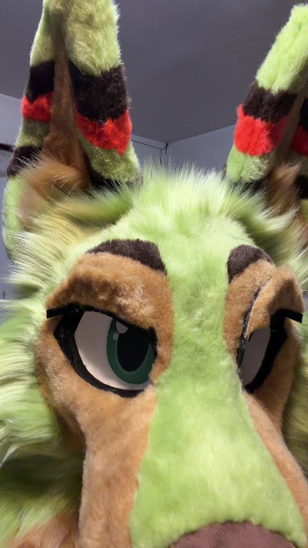 @Makó Suki => ✈️Fur-eh!
