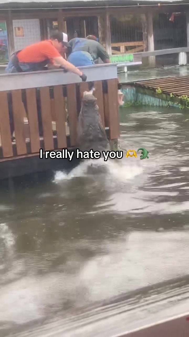 @d_gatorboy