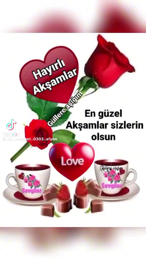 @Aydın &Ccedil;ine