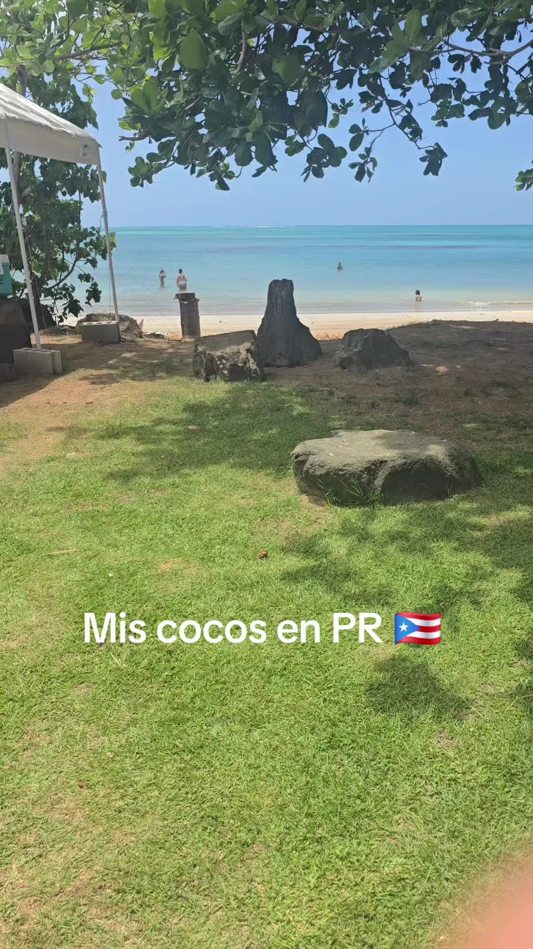 @guayacapalmundo🇪🇨✨️💋💲
