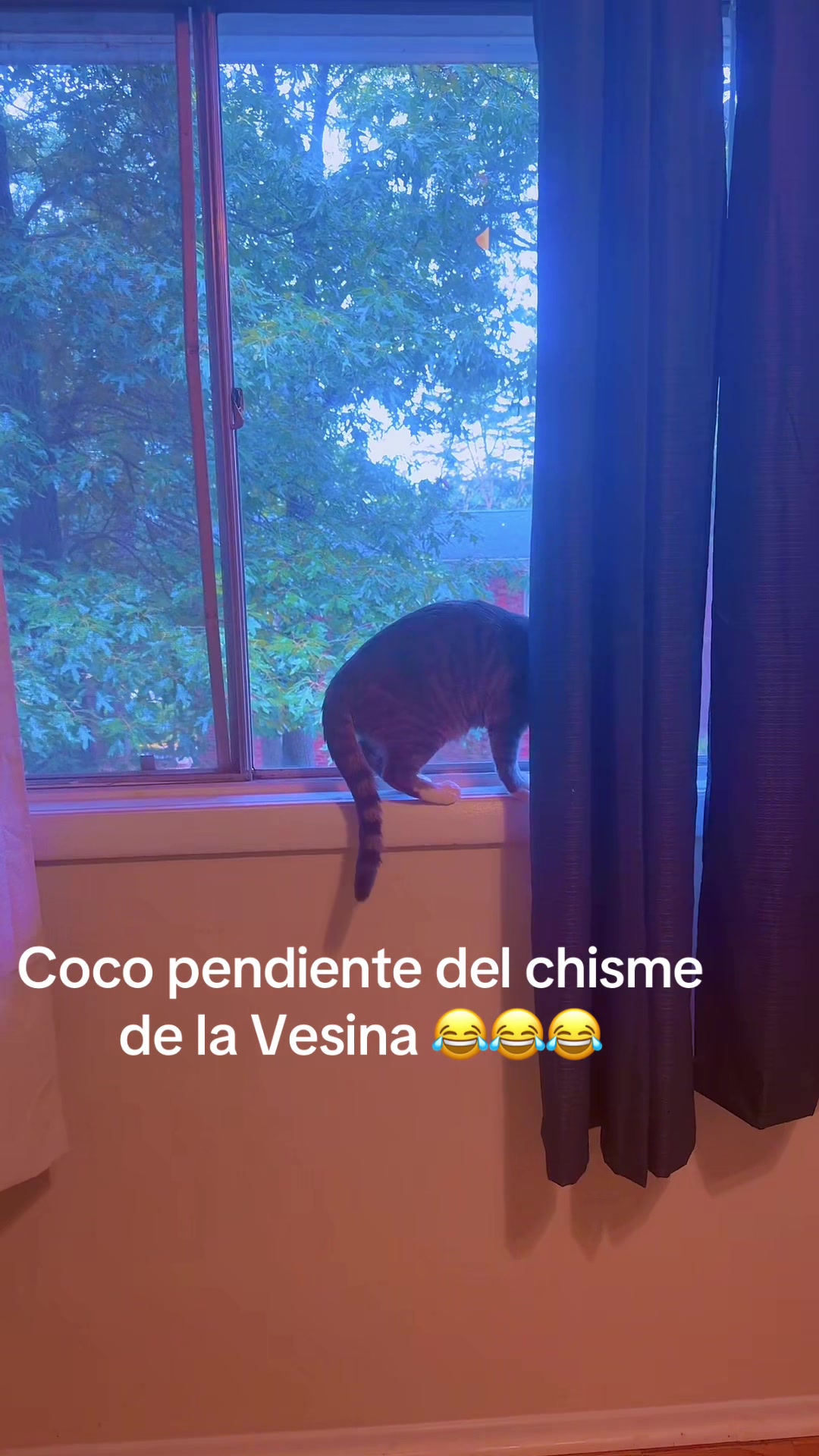 @Te espero en páginas no escrit