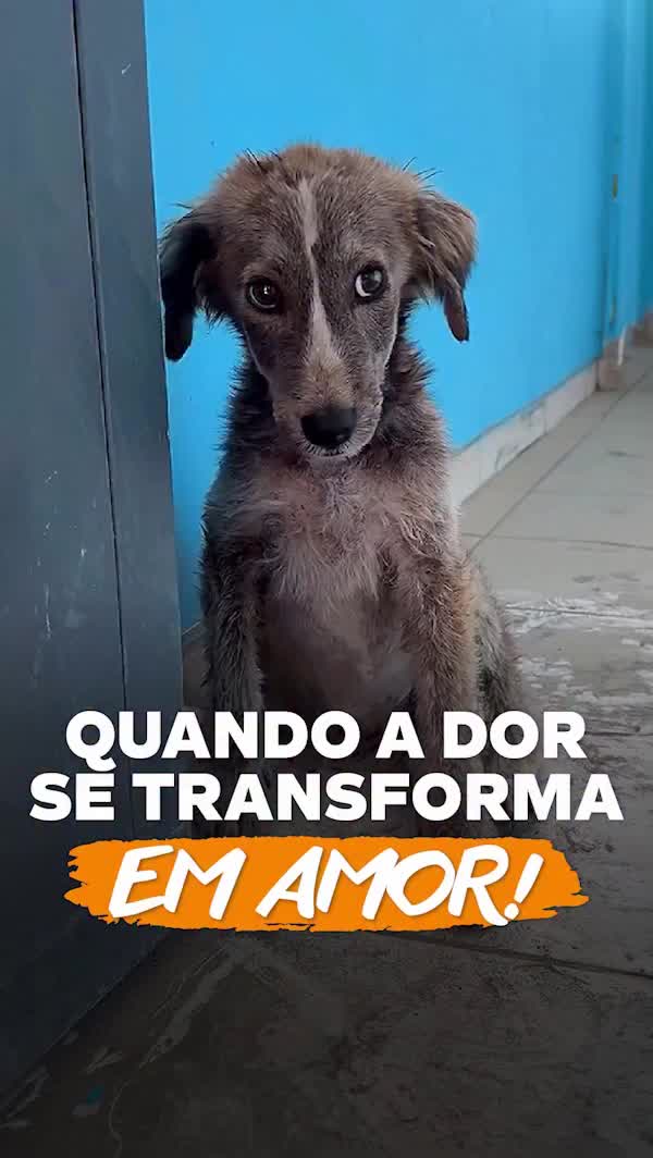 @Silva Rodrigo