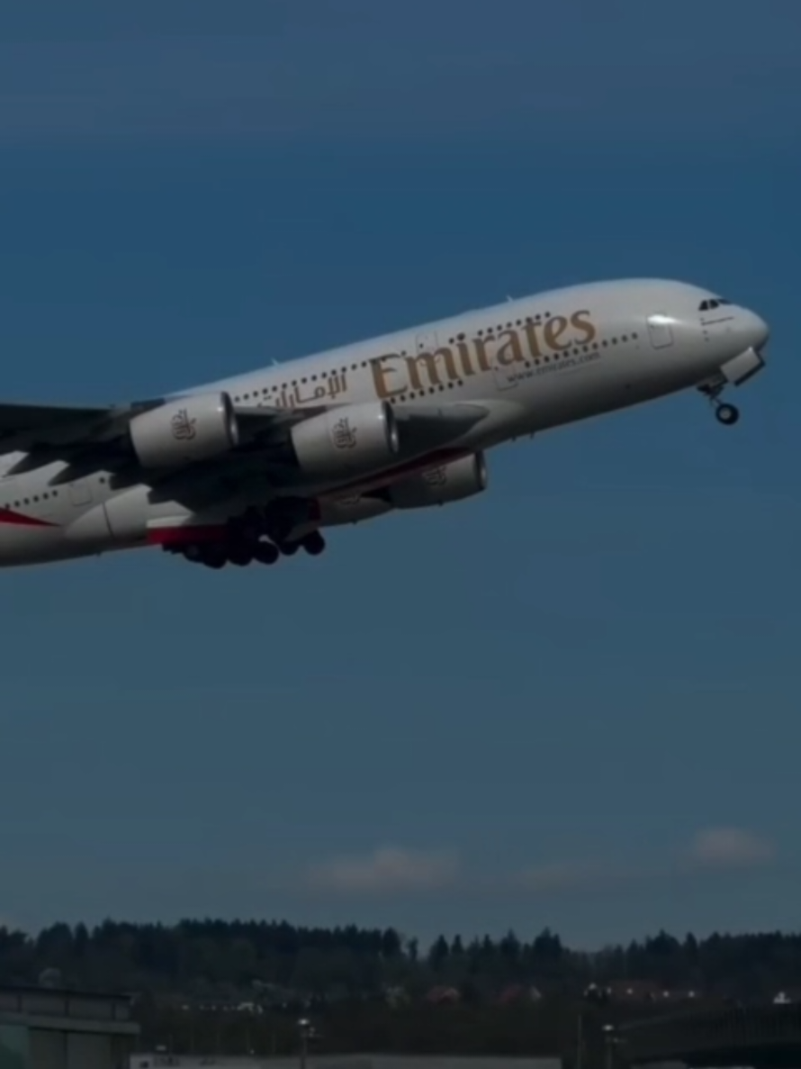 @Fly With Me