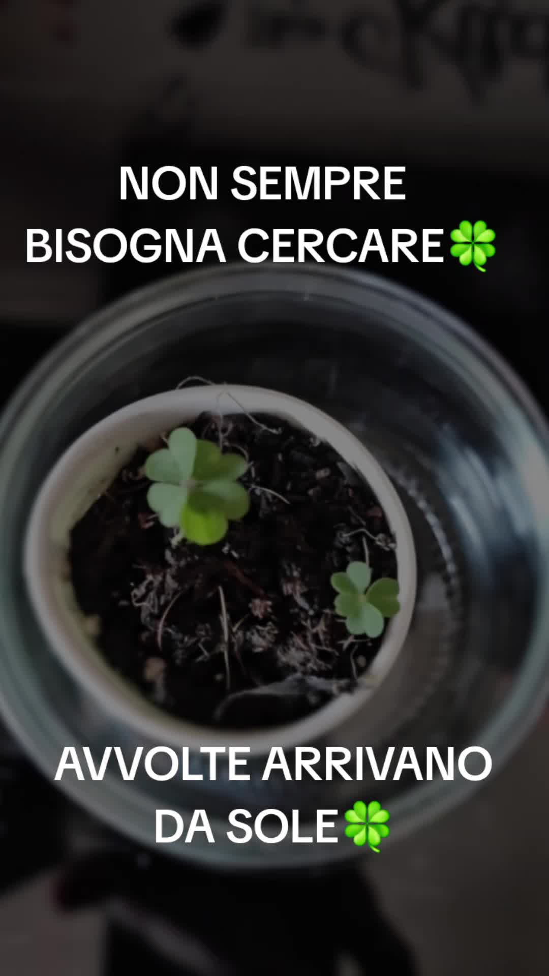 @Akire Issor