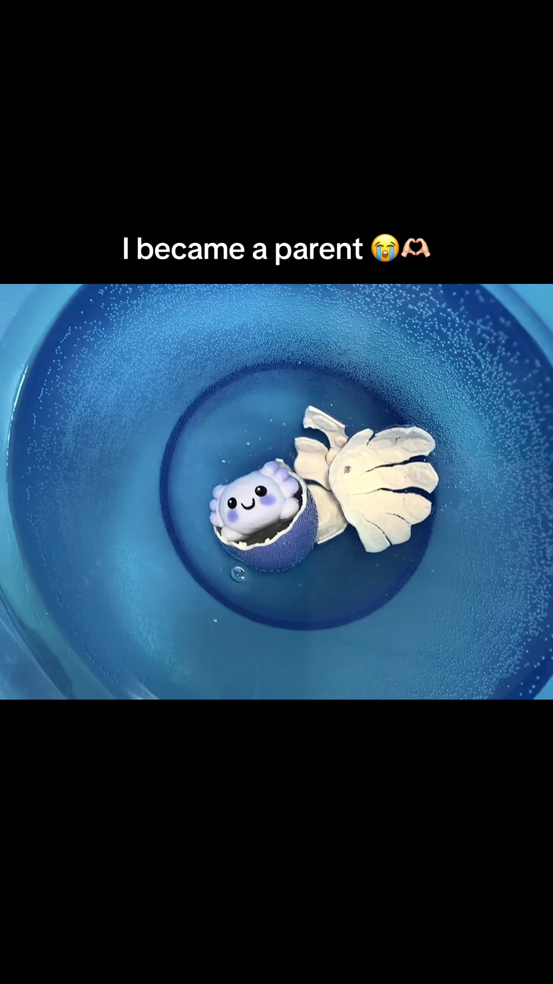 @๐ฏ๐๐