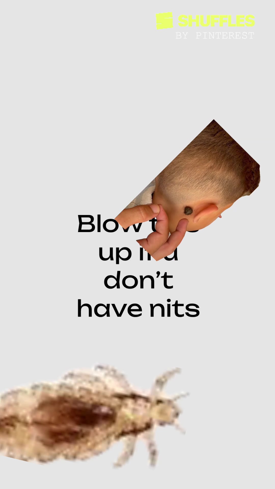 @Shuffles and edits🫰🏻