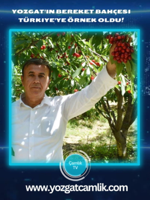 @camlikgazetesi