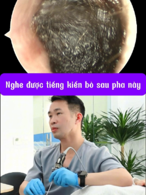 @Bs Hiệu Tai Mũi Họng Long Biên