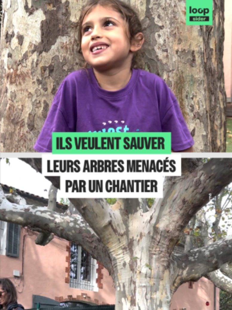 @Loopsider