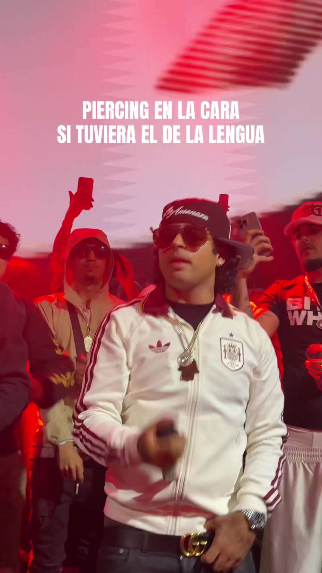 @paula