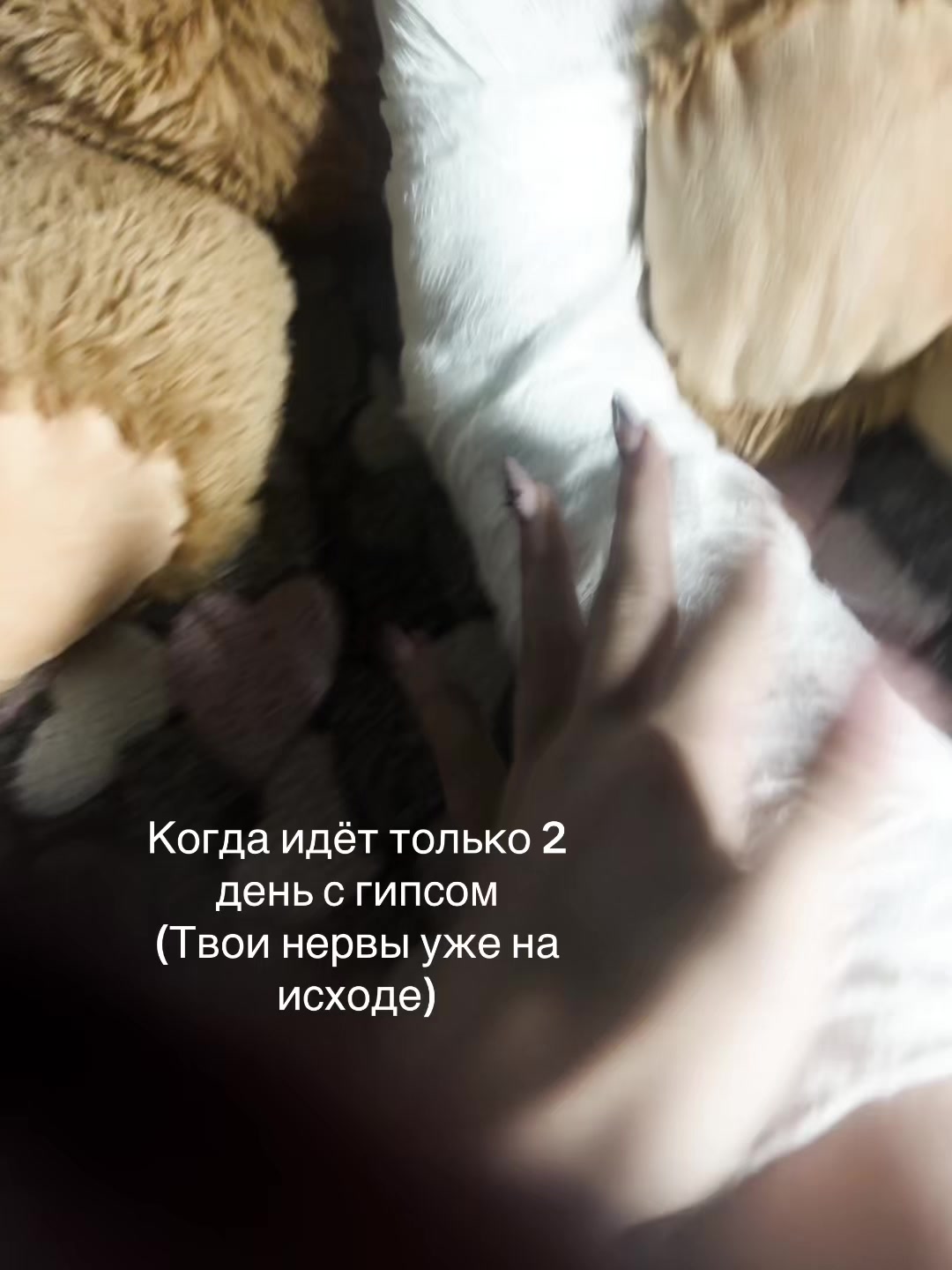 @ki1tyqw