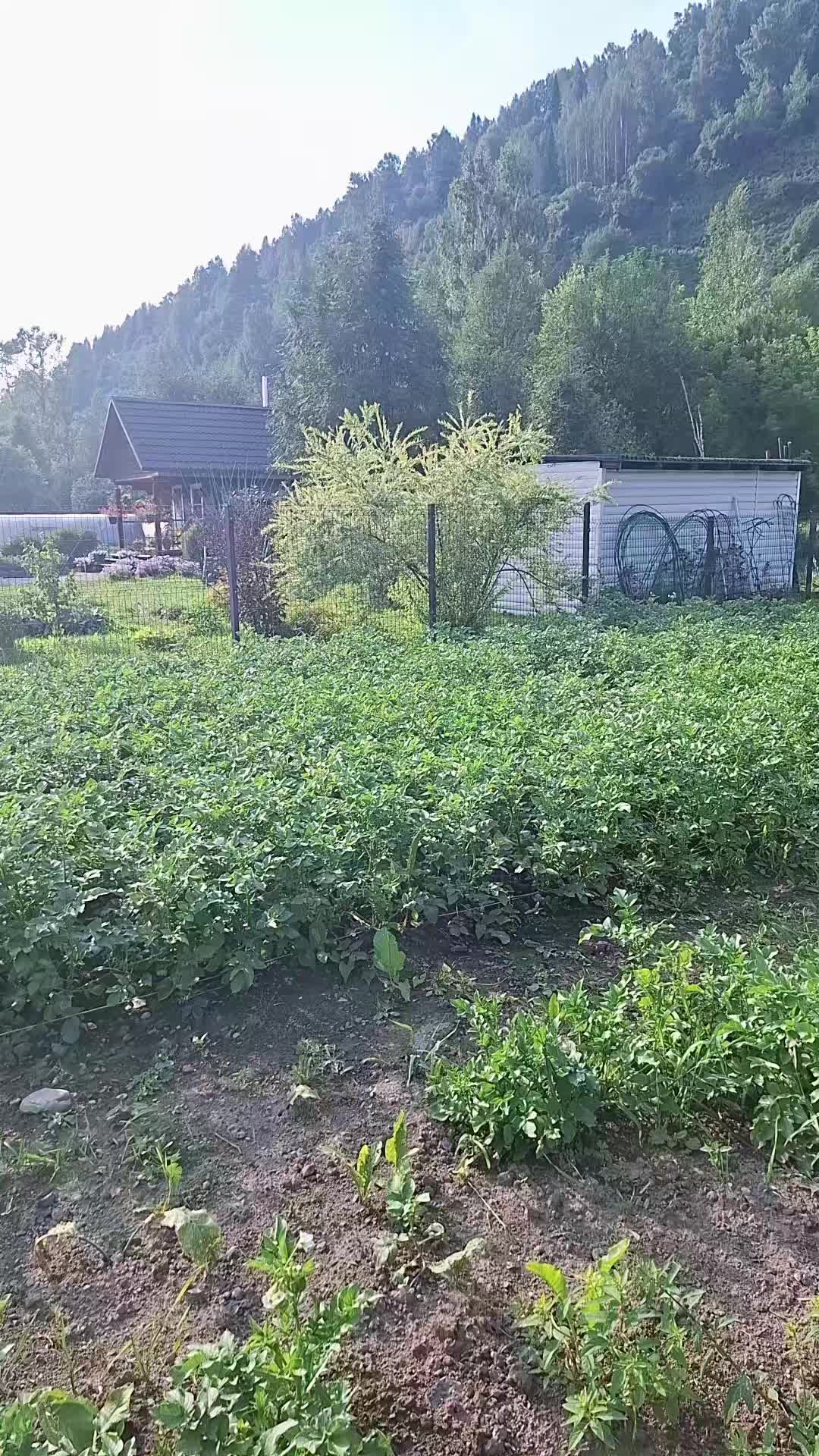 @Ириска☑️