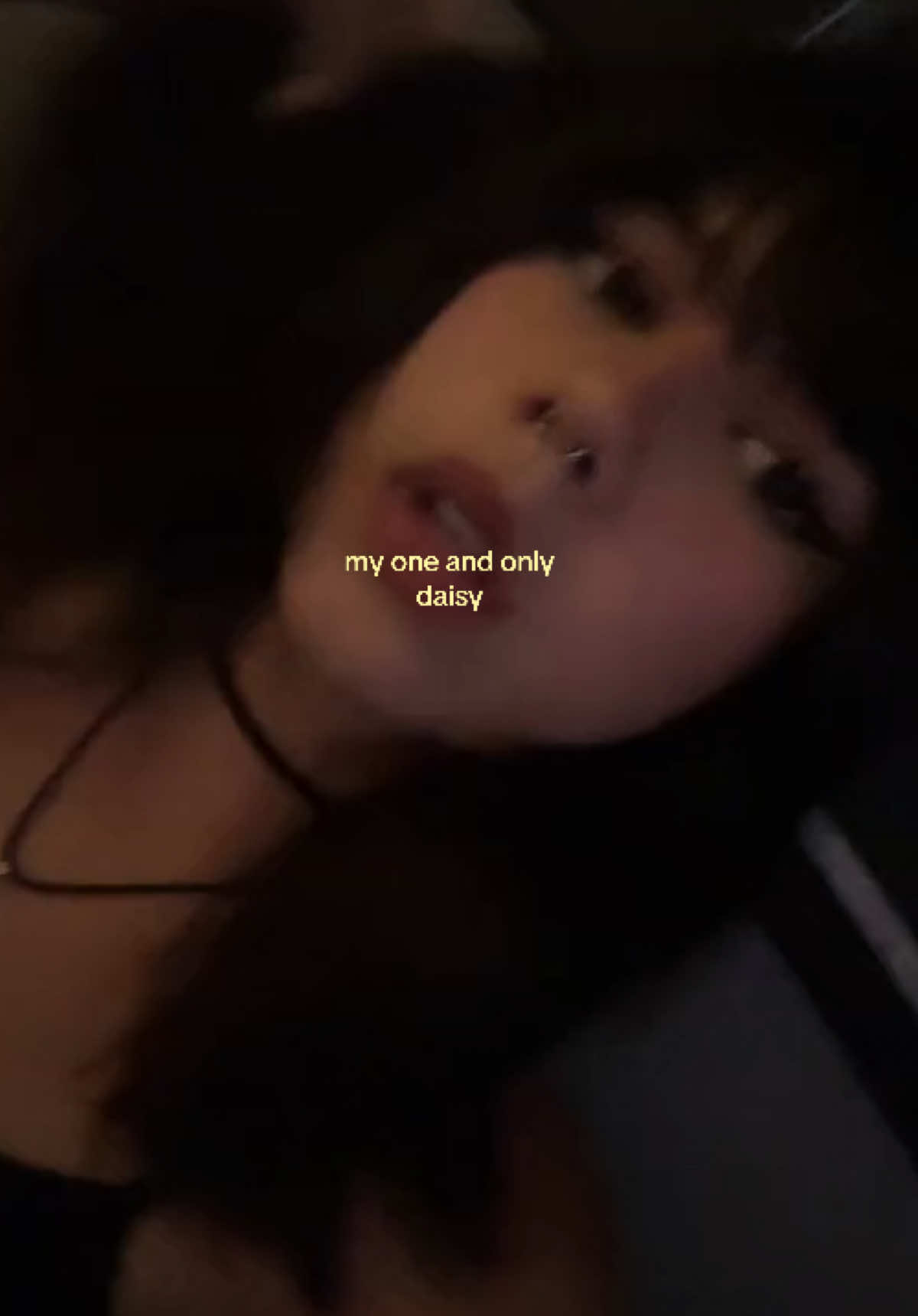 @stella 🐇