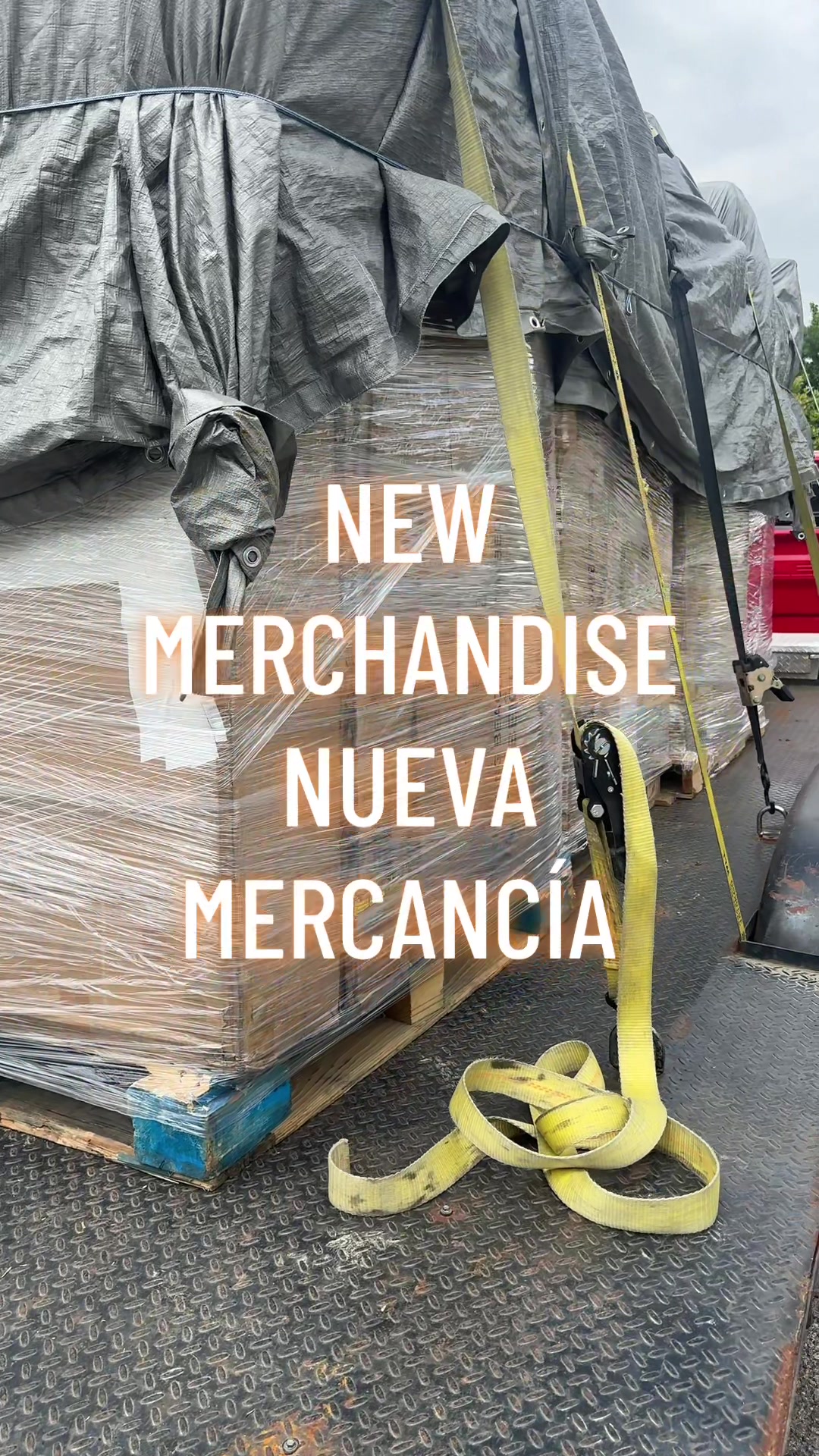 @Lugo Sales🪴