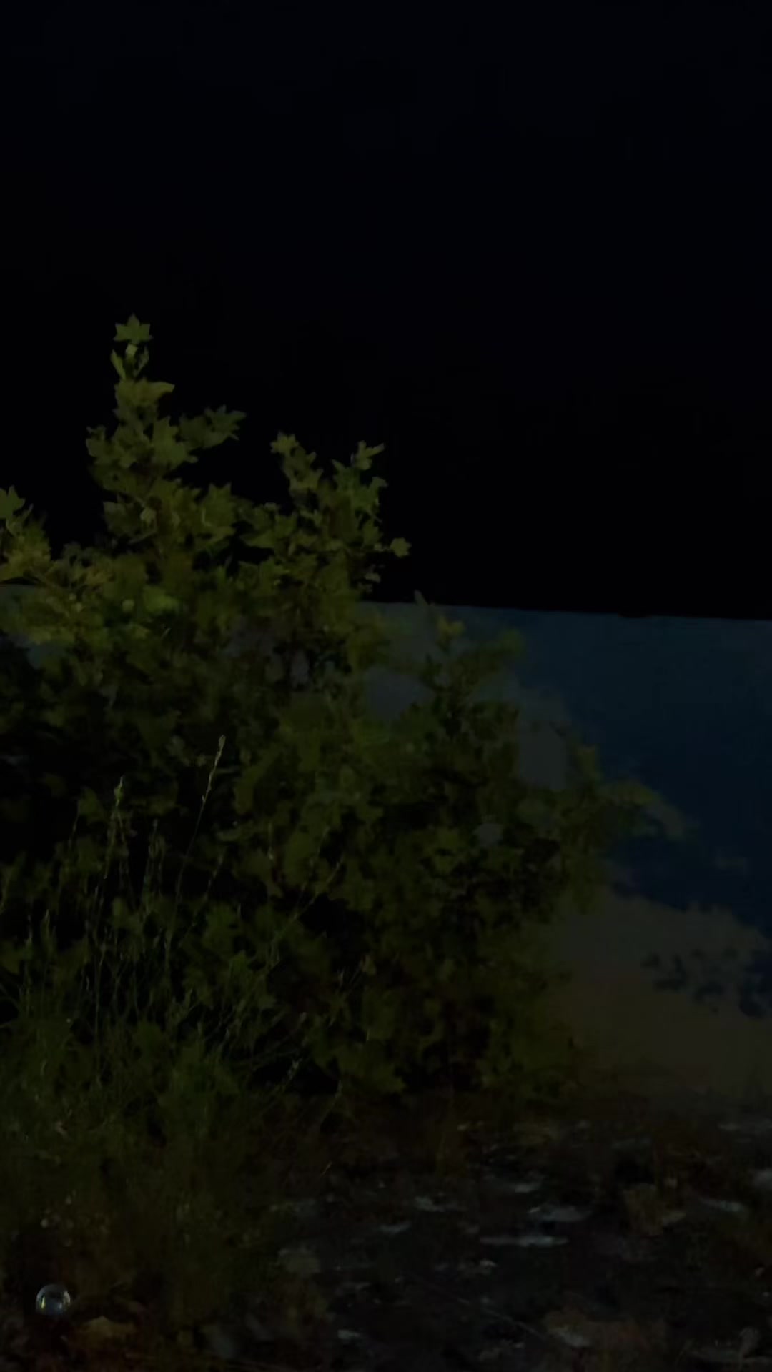 @𝗔𝗯𝗱𝘂𝗹𝗿𝗮𝗵𝗺𝗮𝗻𝗸𝗱𝘇