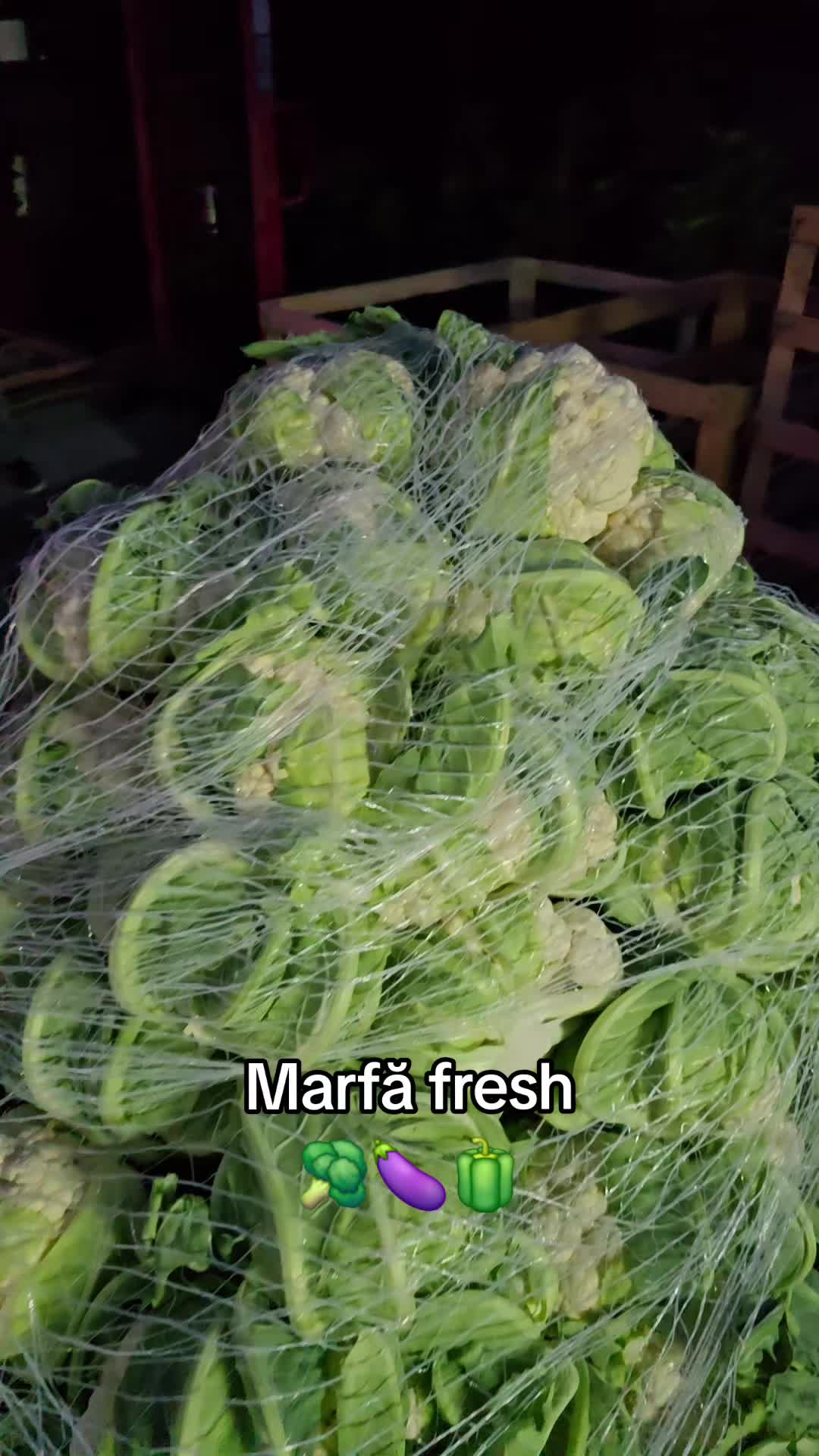 @Faze Farm