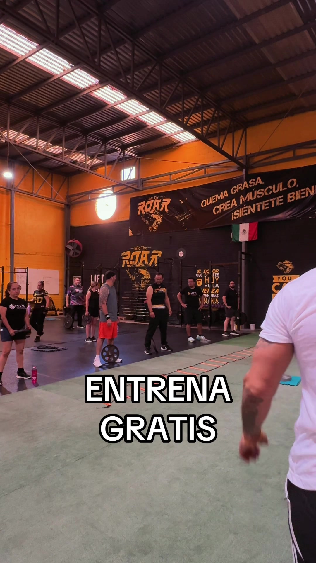 @Paco Raptor