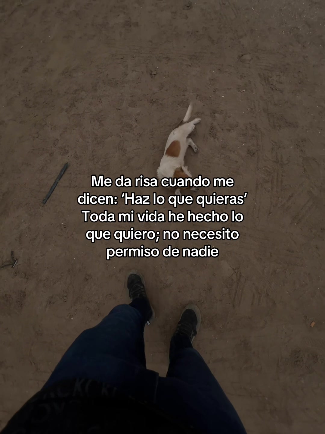 @jesusjp16