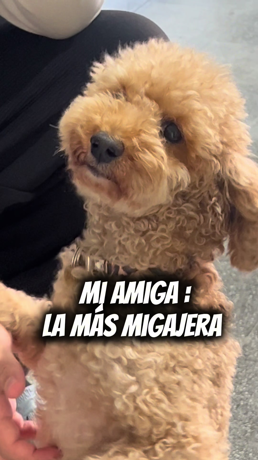@Gisel bernardo