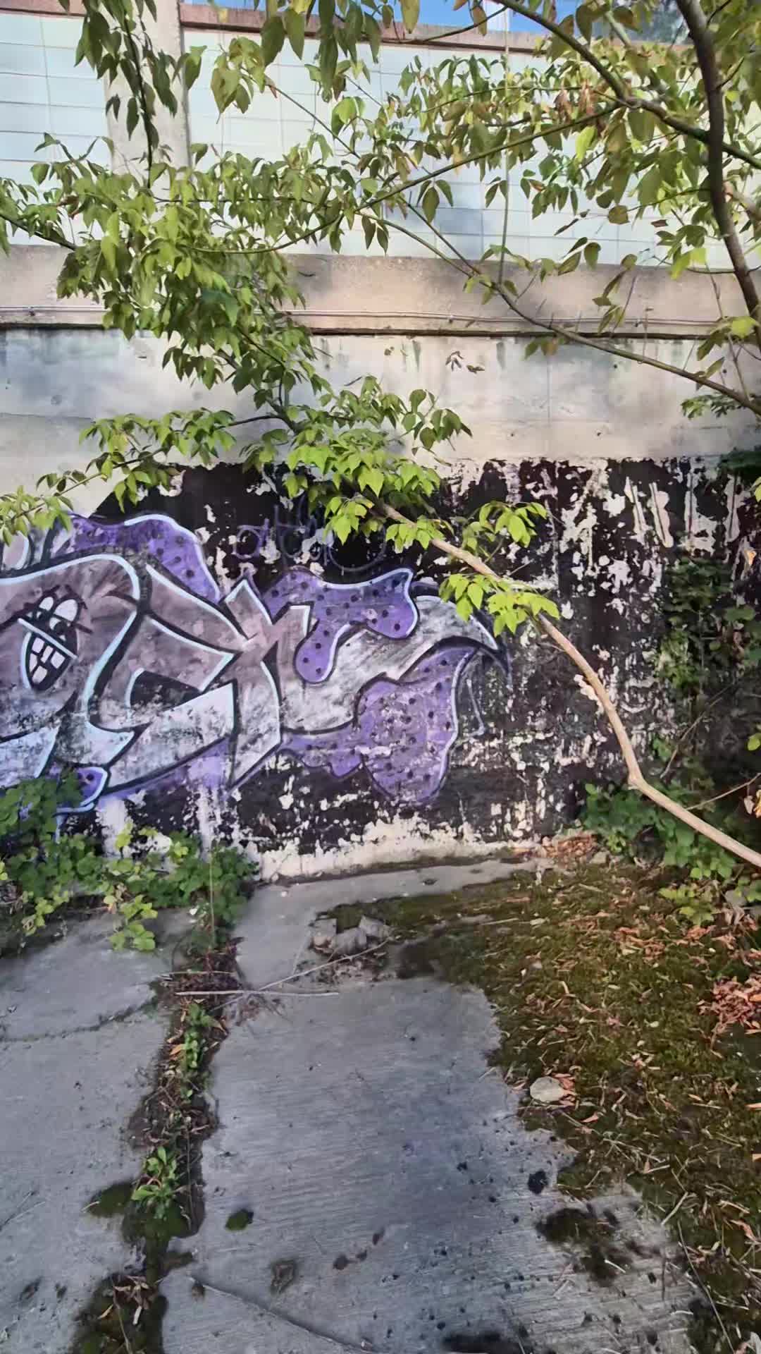 @NS_26