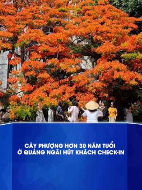 @B&aacute;o Tuổi Trẻ
