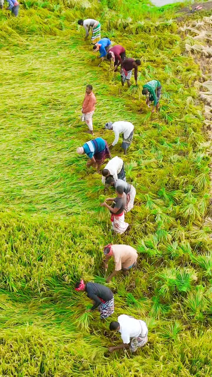 @Kamrujjaman Sojib