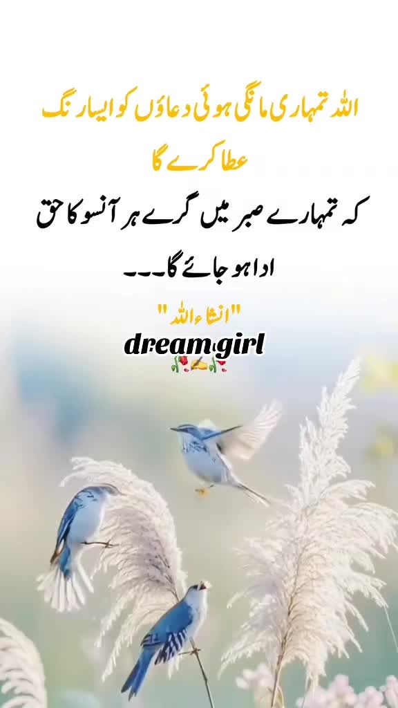 @🥀🦋 dream girl 🦋🥀
