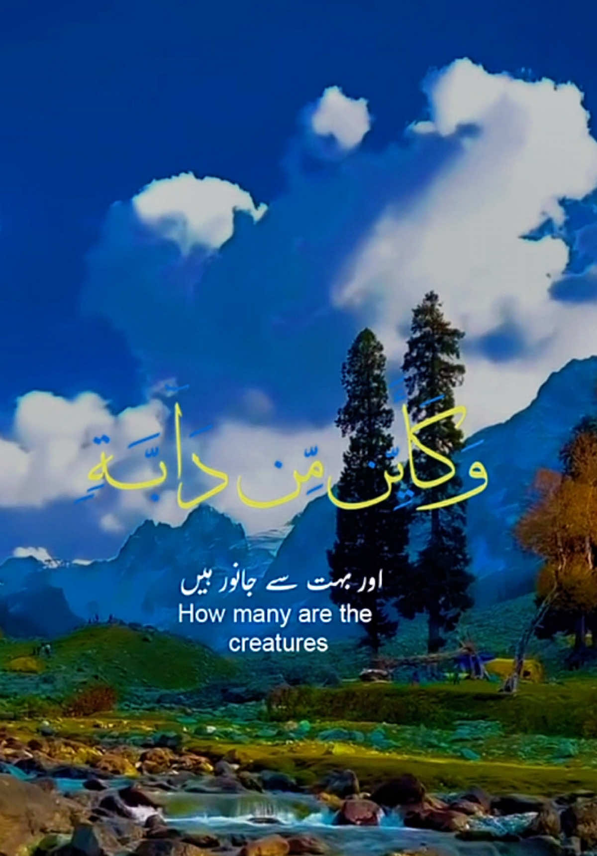 @allah waly