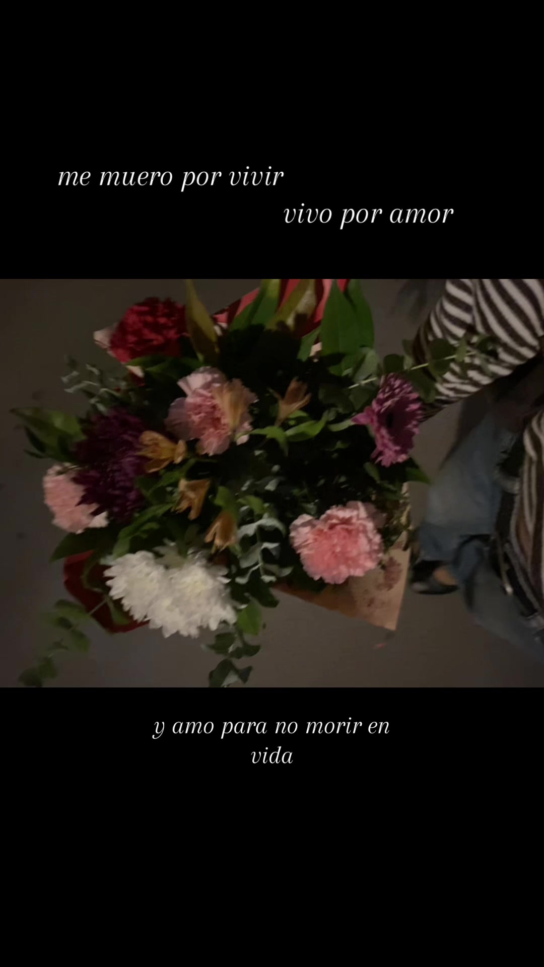 @auro 🪭