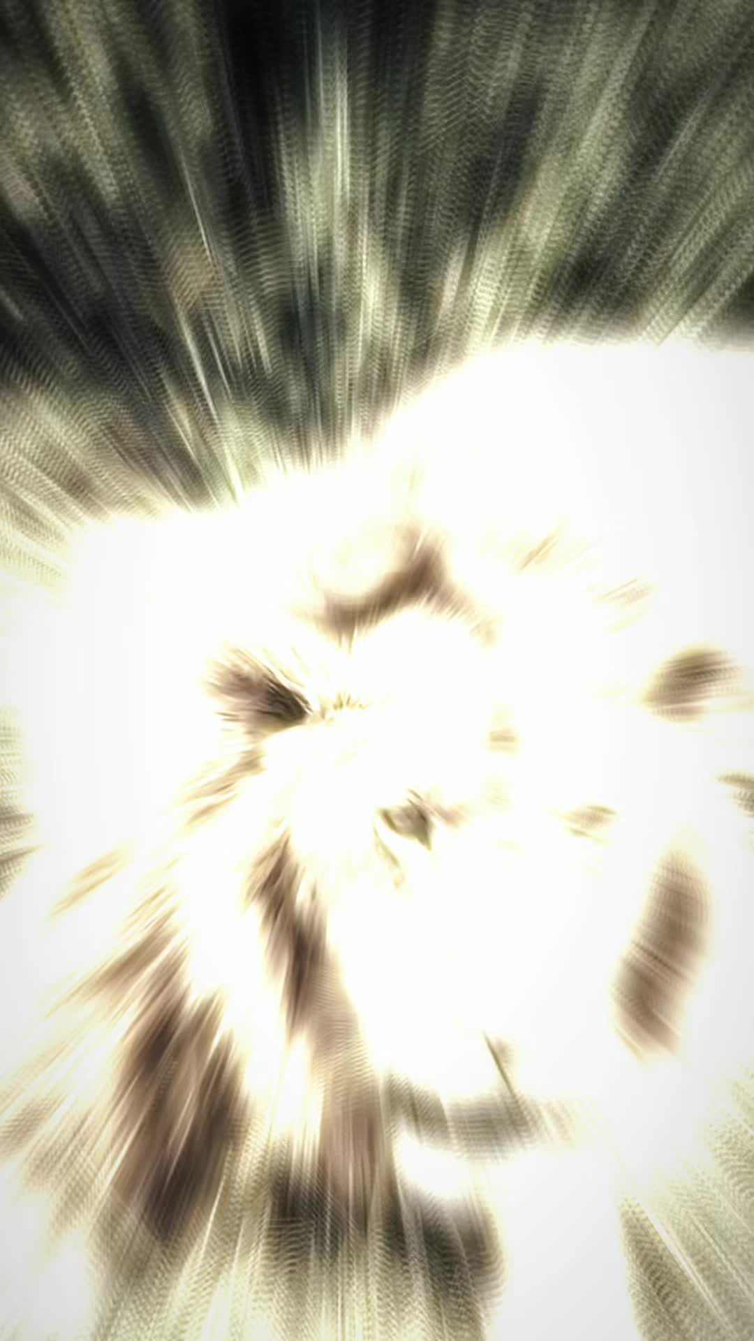 @lion_world5